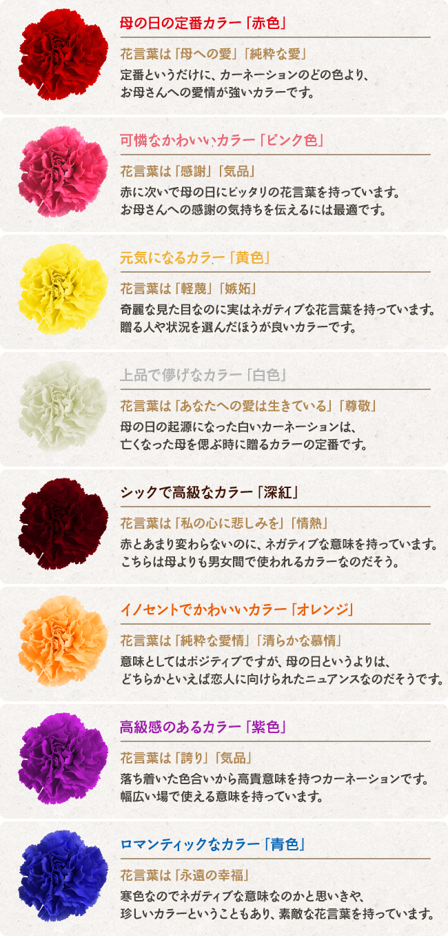 母の日に贈りたい カーネーションの色と花言葉 熊本 東京のホームページ ウェブ制作会社 株式会社エフ 楽天 Yahoo 運営サポート